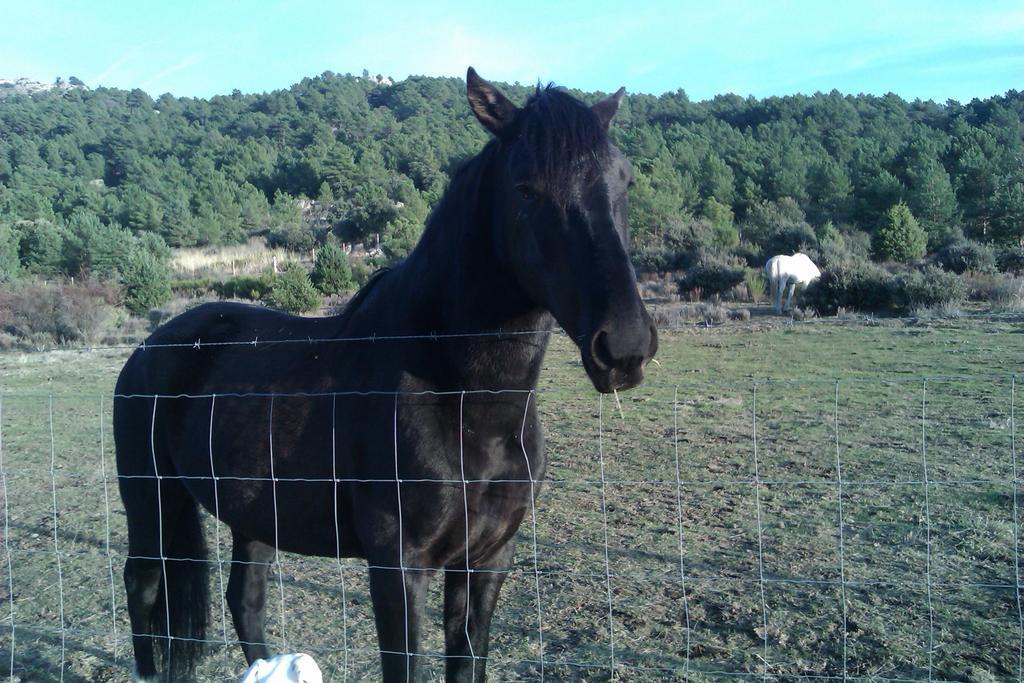 נאבאסראדה Hotel Rural Las Postas מראה חיצוני תמונה